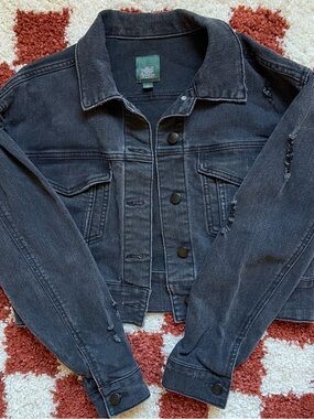 Wild Fable Cropped Distressed Denim Jacket